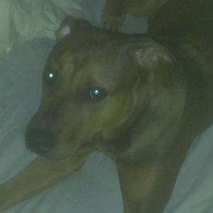 Meet your Posher, Robert